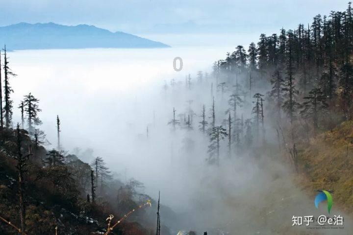 为什么重庆四川美女那么多咧?- 专业讨论社区